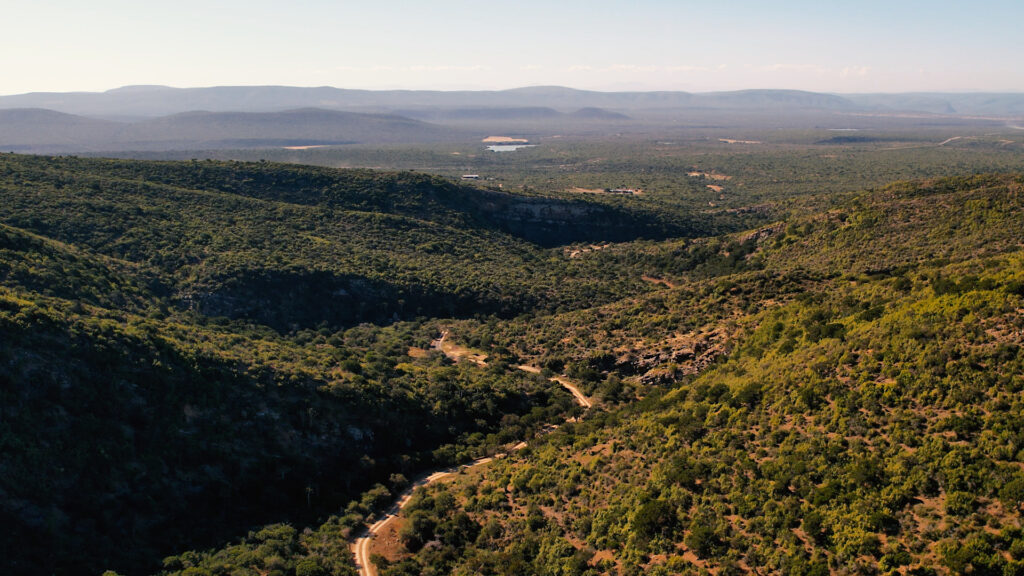 Votre sanctuaire au cœur de la nature sud-africaine